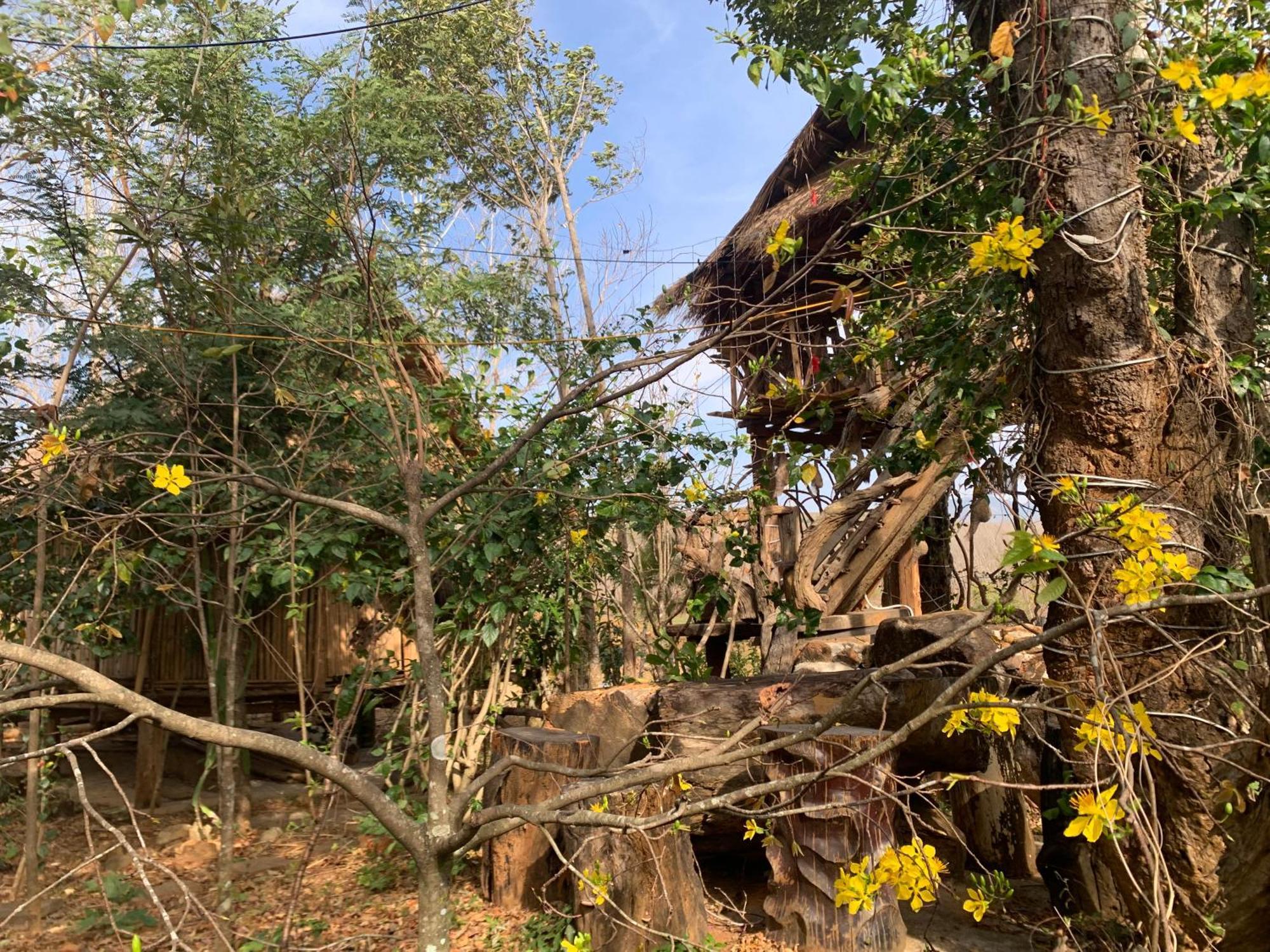 Khu Du Lich Sinh Thai, Nghi Duong Homestay Hoang Anh - Kon Xom Luh Kon Tum Exterior photo